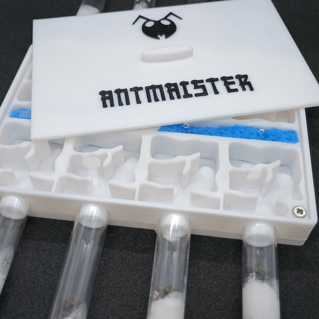 Queen Ant Nest Farm | Queen Founding | 8 Compact Habitats