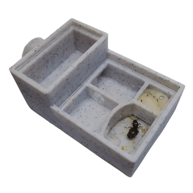 Queen Ant Nest | Founding Formicarium for Starting Colonies | Eco UK Made