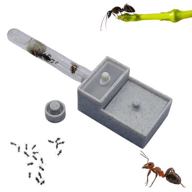 Queen Ant Nest | Founding Formicarium for Starting Colonies | Eco UK Made