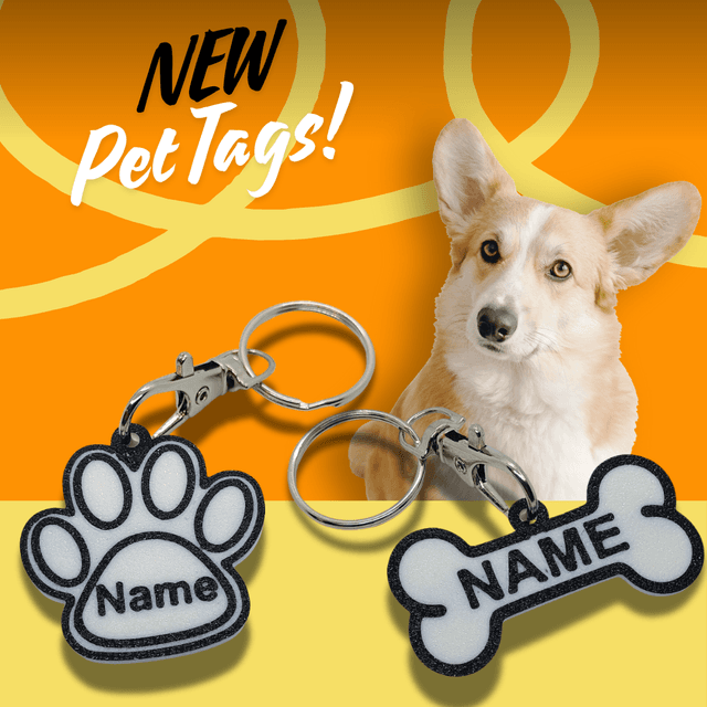🐾 Stylish Pet Tags for Your Furry Friends! 🐶✨